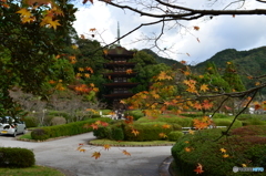 秋の瑠璃光寺五重塔