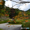 秋の瑠璃光寺五重塔