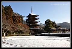 雪景色 瑠璃光寺五重塔