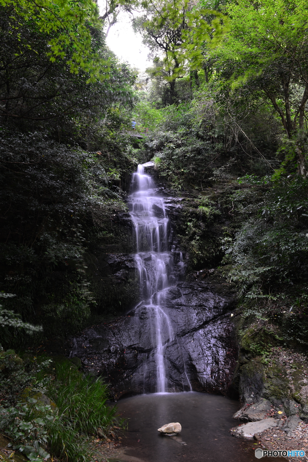 山口市龍蔵寺 鼓の滝 