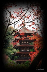 山口瑠璃光寺五重塔と紅葉