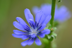 今朝の常盤公園