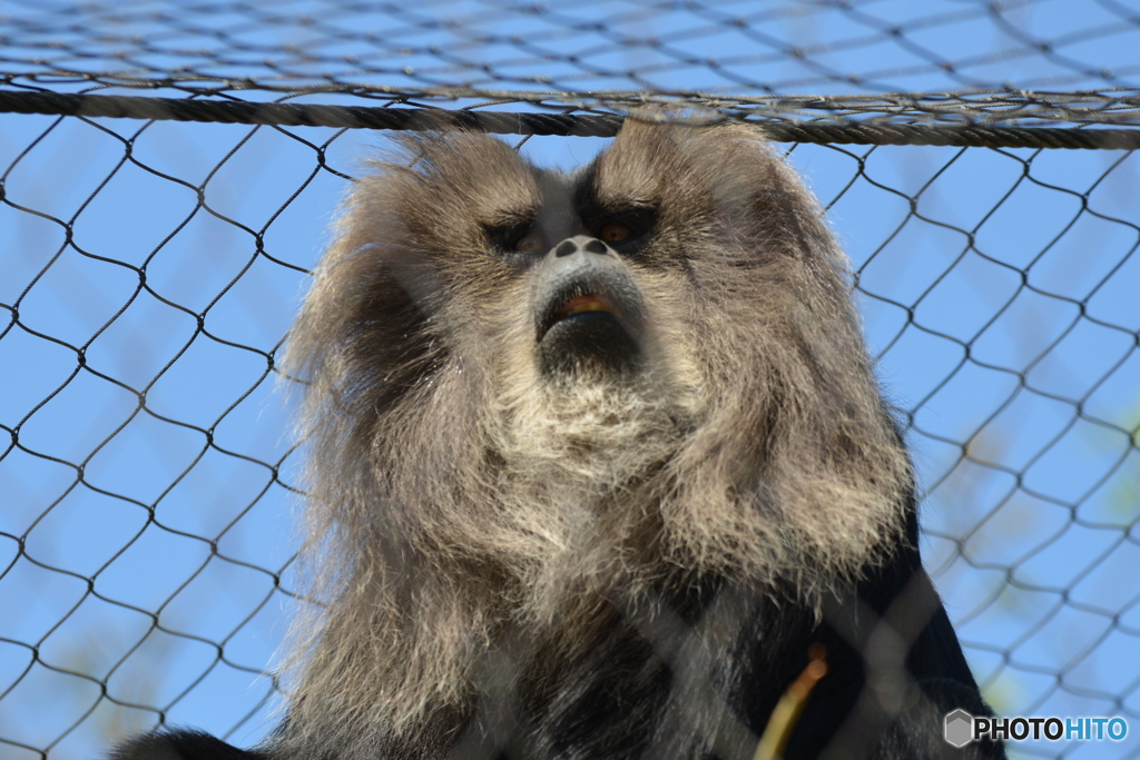 ときわ動物園