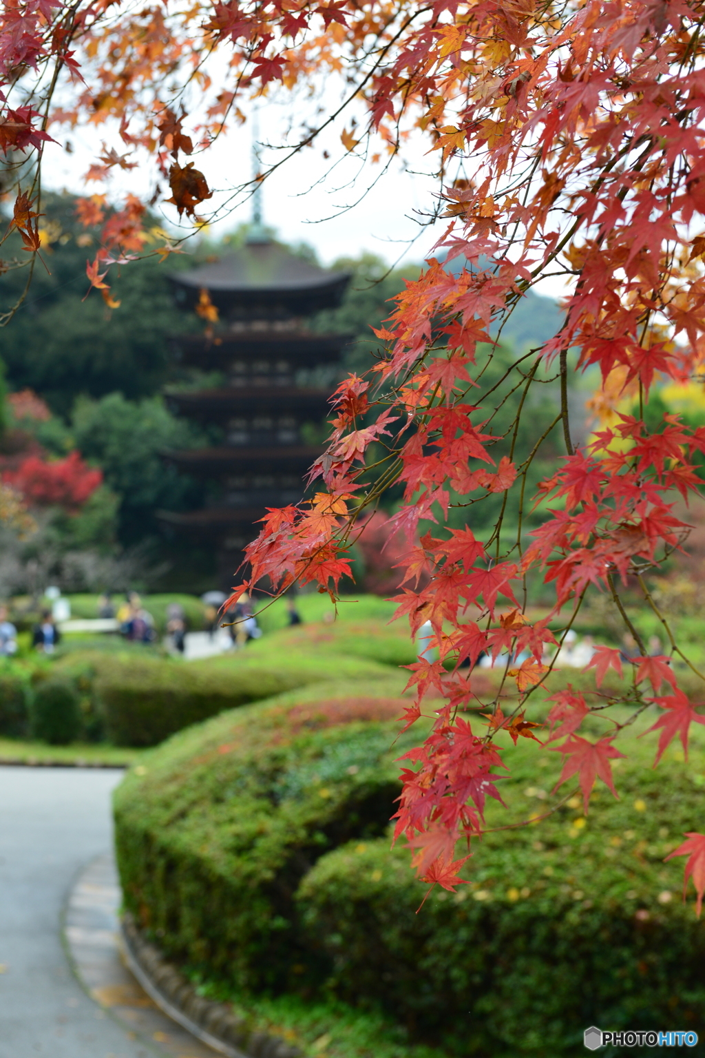 瑠璃光寺五重塔と紅葉