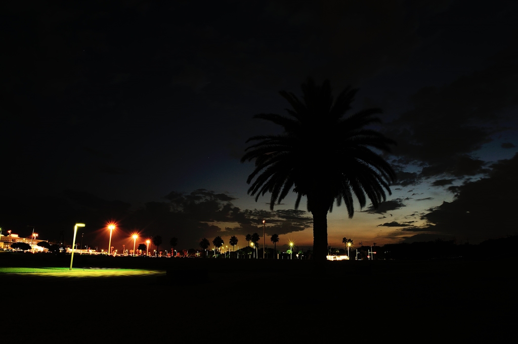 南国風 宇部空港