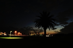 南国風 宇部空港