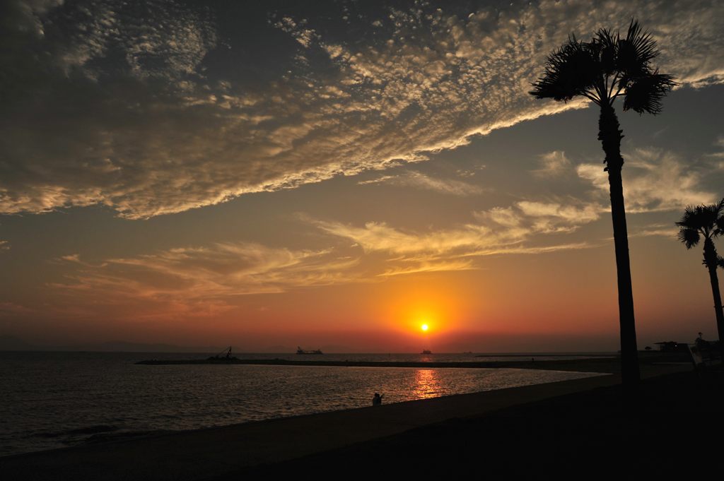 焼野海岸