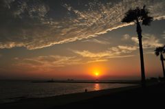 焼野海岸