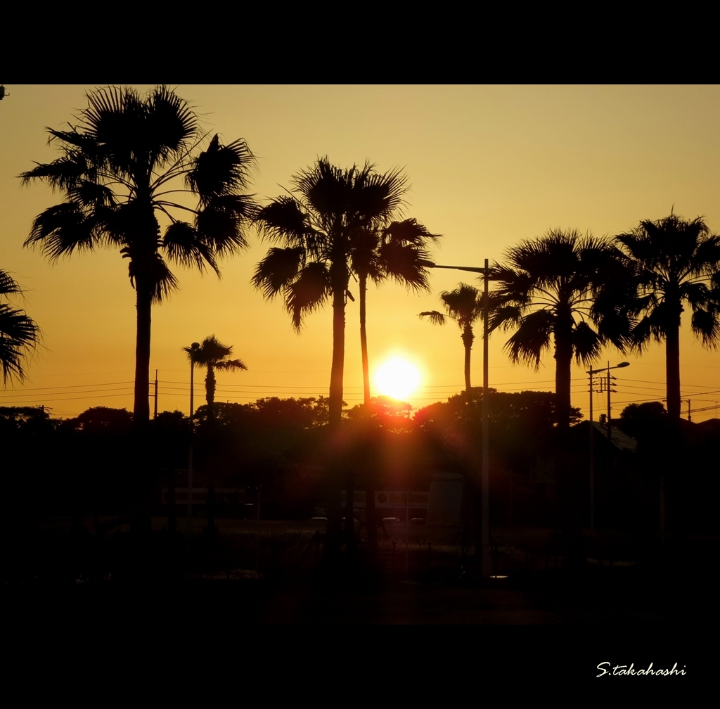 宇部空港の夕日
