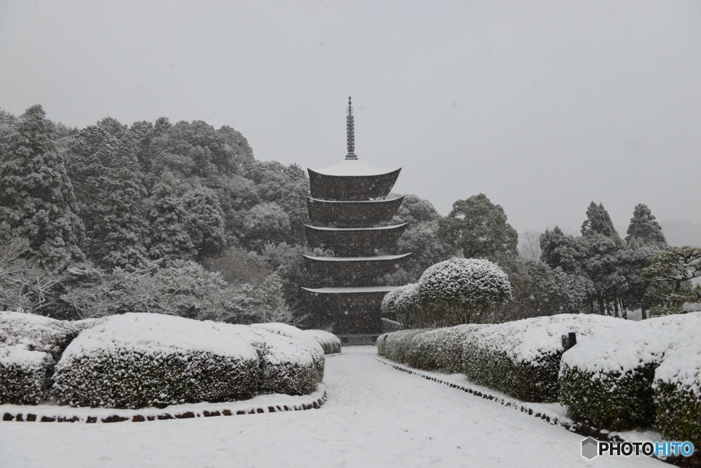 雪の瑠璃光寺五重塔を