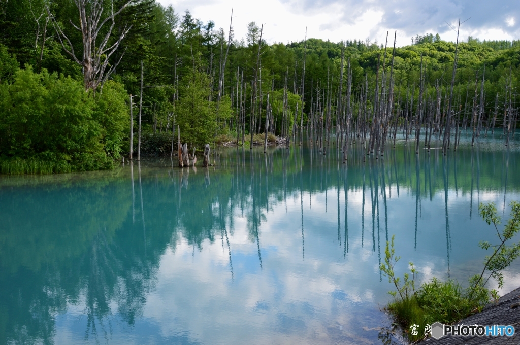 妻の北海道一人旅