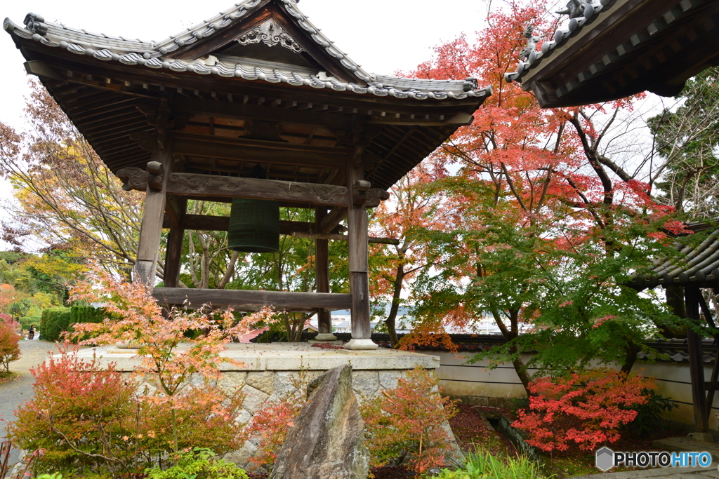 蓮光寺の紅葉