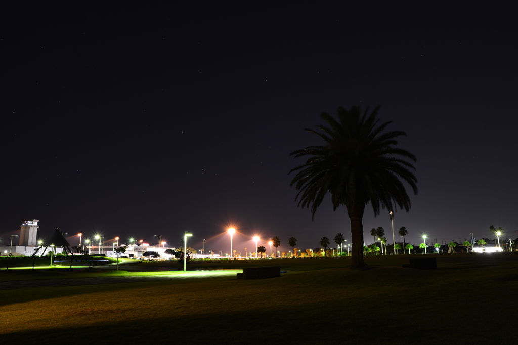 Ｄ800ＥでＤＸレンズ使用