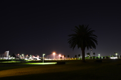 Ｄ800ＥでＤＸレンズ使用