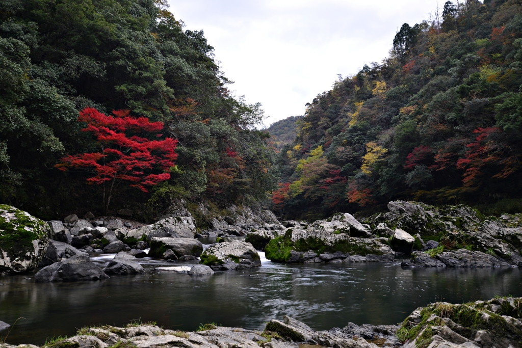 長門峡の紅葉