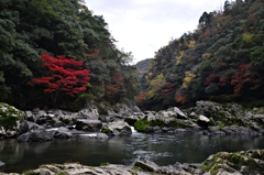 長門峡の紅葉