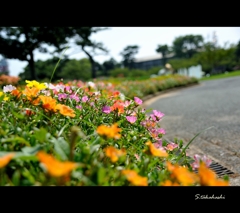 常盤公園
