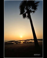 焼野海岸からの夕日