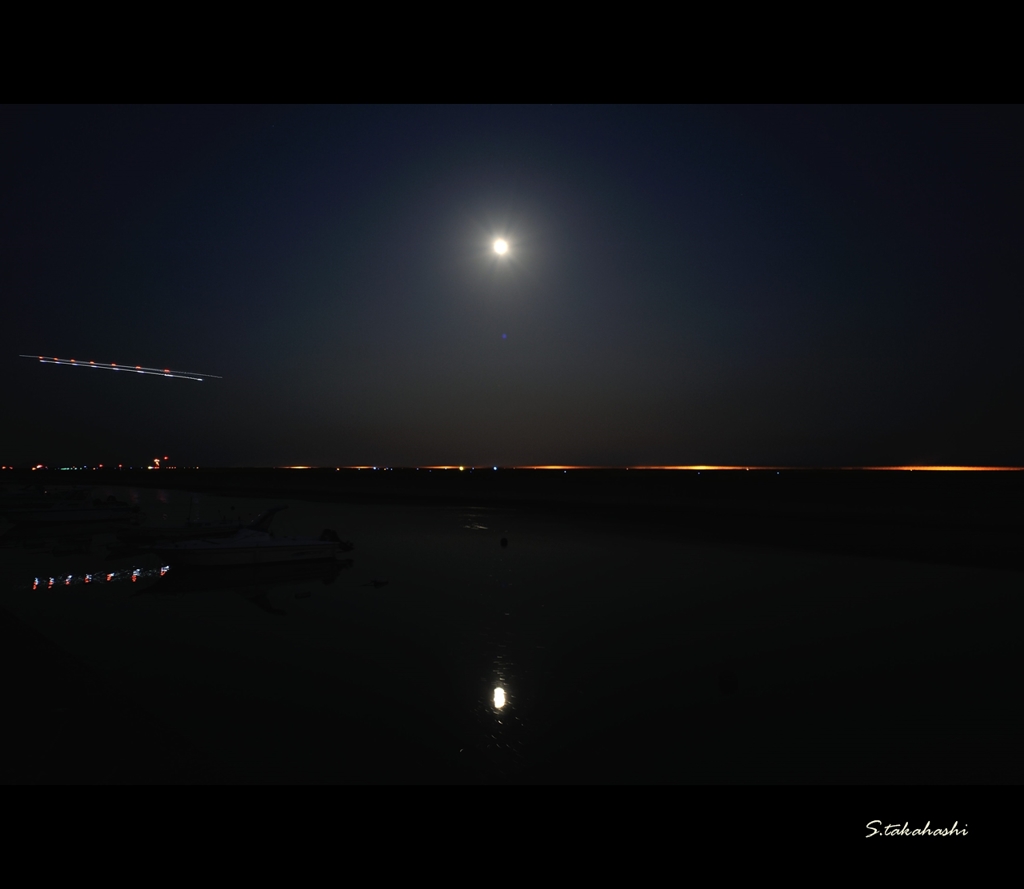 宇部空港犬の散歩