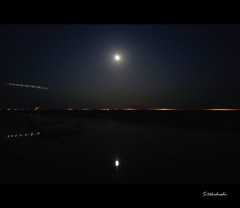 宇部空港犬の散歩