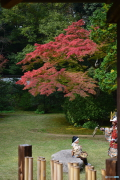 毛利庭園
