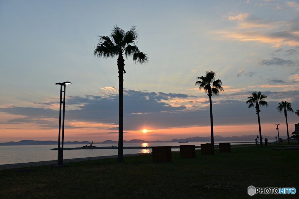 焼野海岸