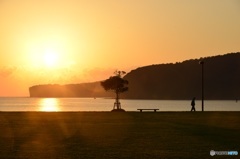 大分県くにみキャンプ朝日