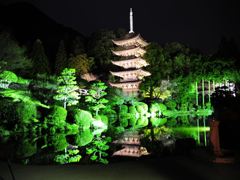 瑠璃光寺　ライトアップ