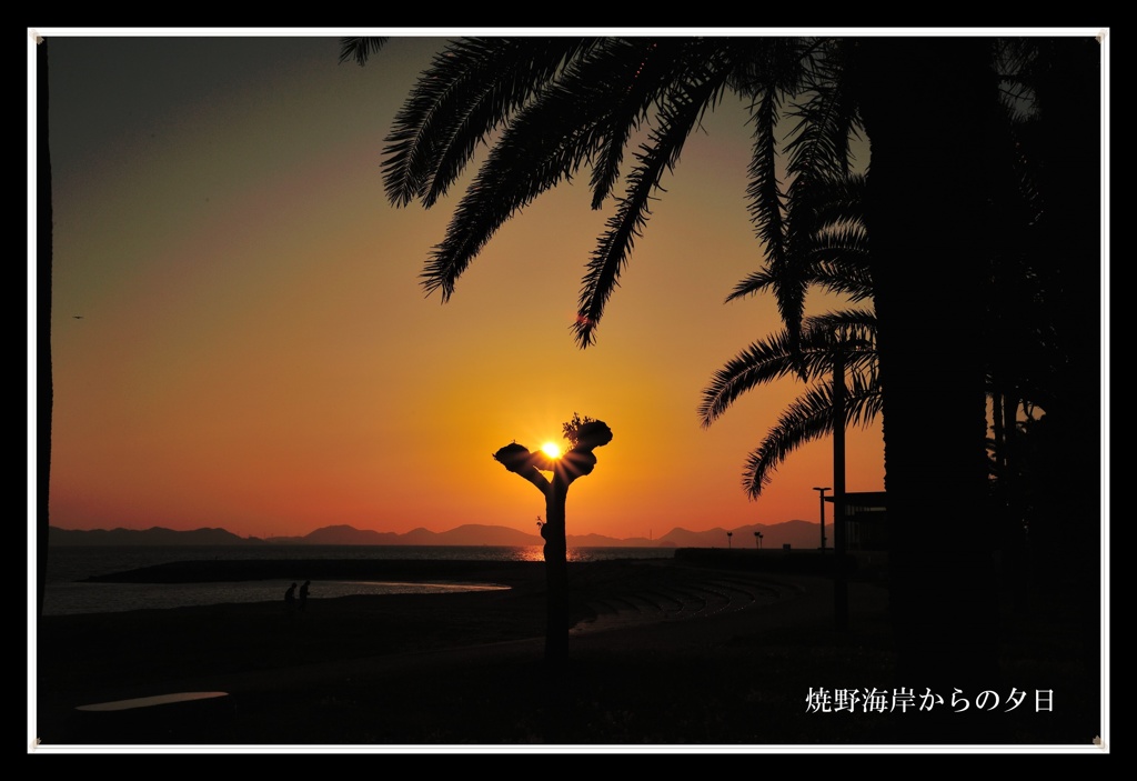 焼野海岸からの夕日