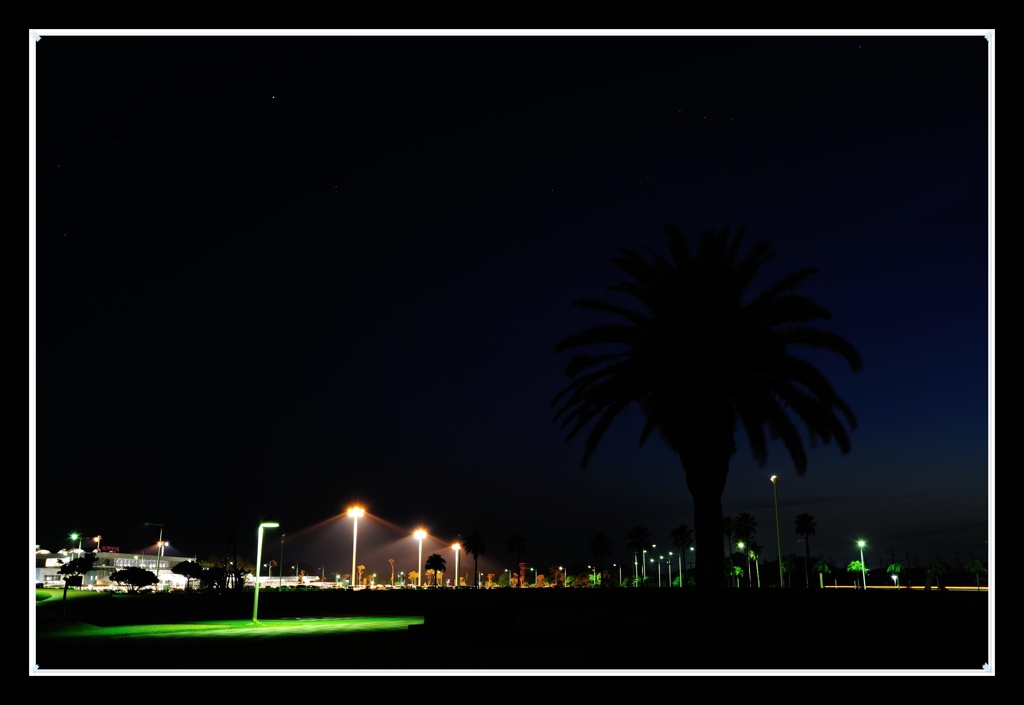 夜の宇部空港横の公園