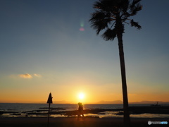 焼野海岸
