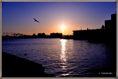 夕方の風景