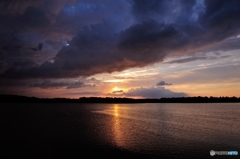 早朝の常盤公園