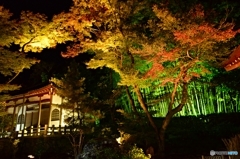 嵐山宝厳院ライトアップ