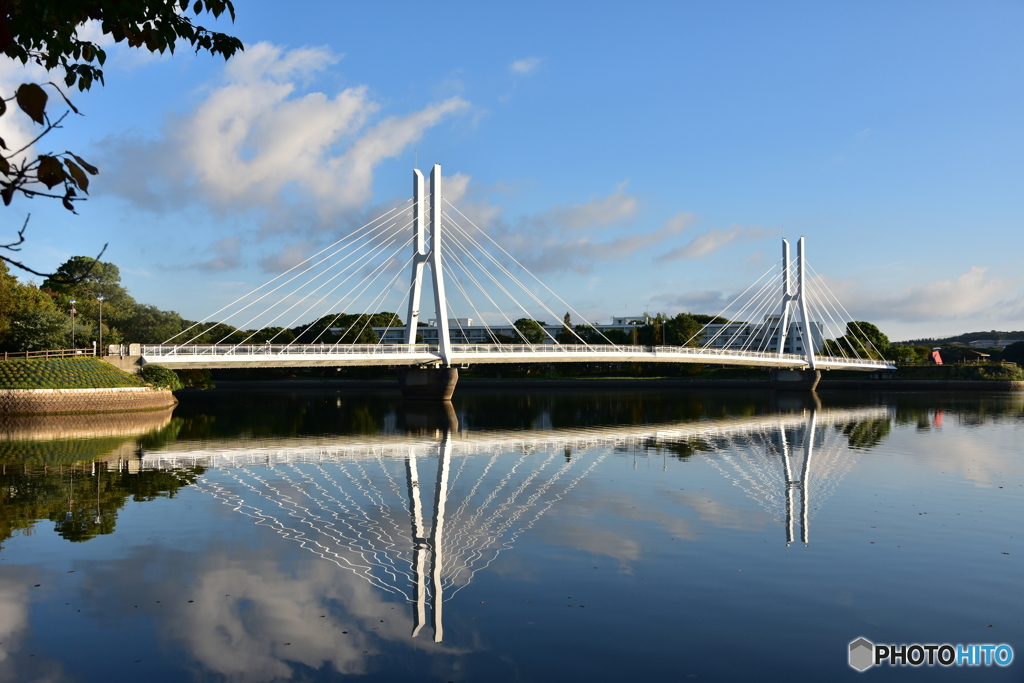 朝の風景