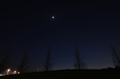 宇部空港ロクの散歩を終えて