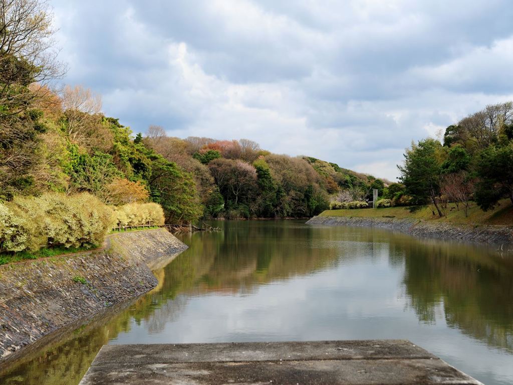 常盤公園　常盤湖散歩