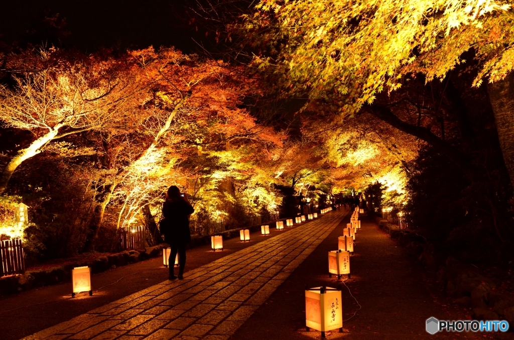 石山寺のライトアップ By Takahashi Id 写真共有サイト Photohito