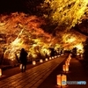 石山寺のライトアップ