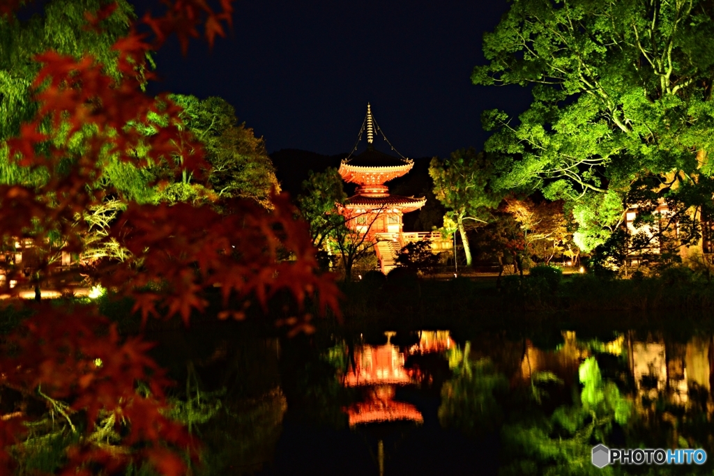 京都嵐山大覚寺ライトアップ