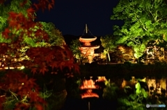 京都嵐山大覚寺ライトアップ