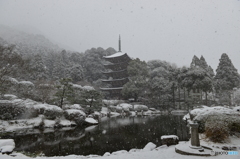 瑠璃光寺五重塔 雪景色