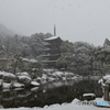 瑠璃光寺五重塔 雪景色