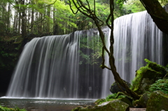 熊本県小国 鍋ヶ滝