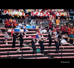 夏の高校野球応援団