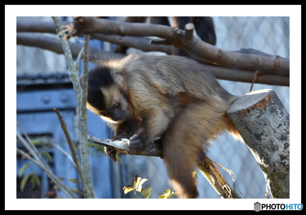 ときわ動物園