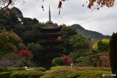 瑠璃光寺五重塔と紅葉