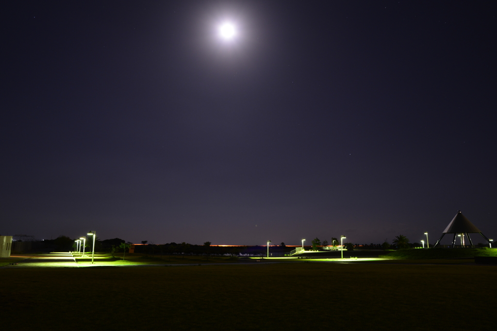 Ｄ800ＥでＤＸレンズ使用