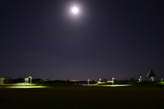 Ｄ800ＥでＤＸレンズ使用