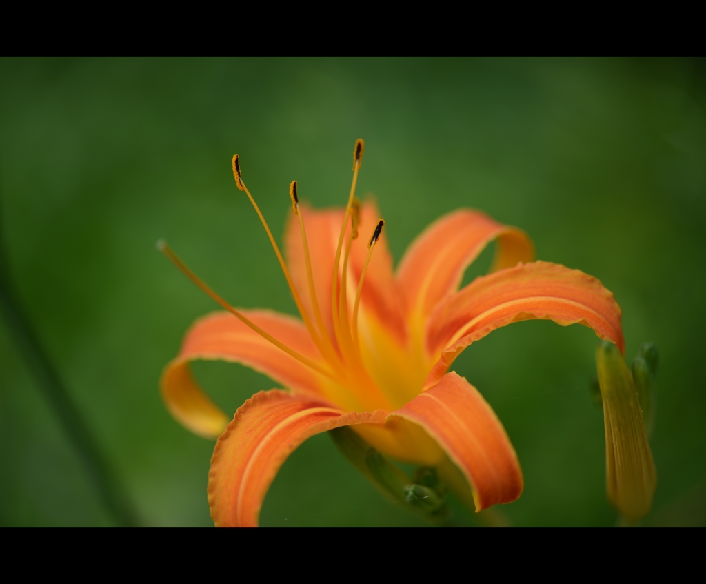 DSC_1170.10